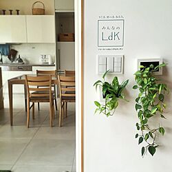 白/無印良品/植物/IKEA/玄関/入り口のインテリア実例 - 2016-07-25 15:47:52