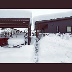 玄関/入り口/狭小住宅/平屋/雪/カーポート...などのインテリア実例 - 2021-01-09 13:05:32