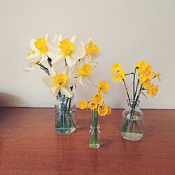 春が好き/お花が好き/お花のある暮らし/水仙/ラッパスイセン...などのインテリア実例 - 2023-04-09 11:37:14