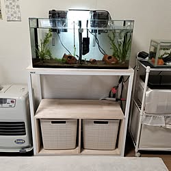 部屋全体/観葉植物/無印良品/ガーデニング/古いアパート...などのインテリア実例 - 2023-05-02 15:32:59