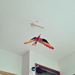 壁/天井/モビール/鳥のインテリア実例 - 2012-10-08 13:41:16