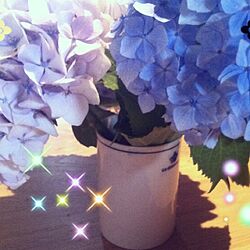 リビング/好きな花のインテリア実例 - 2013-02-20 12:56:00