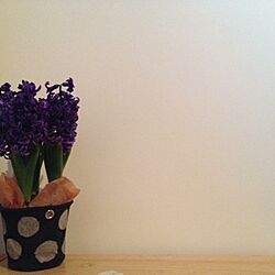 棚/子供部屋/植物のインテリア実例 - 2013-03-27 10:26:17