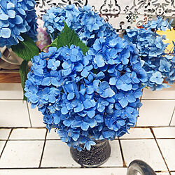 白も好き/青い紫陽花が一番好き/キッチンのインテリア実例 - 2021-06-30 18:23:32