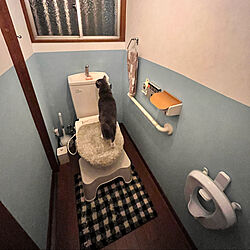トイレの壁/セルフペイント/セルフリノベーション/中古住宅/猫と暮らす...などのインテリア実例 - 2023-02-18 23:25:07