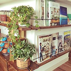 棚/RoomClipStyle/うちカフェ計画/DIY棚/観葉植物...などのインテリア実例 - 2015-06-17 06:38:59