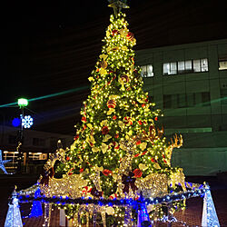MerryChristmas/イルミネーション/イルミネーションツリー/クリスマスツリー/見て頂きありがとうございます⑅︎◡̈︎*...などのインテリア実例 - 2021-12-25 22:56:55