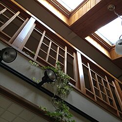 壁/天井/植物のインテリア実例 - 2013-09-04 16:07:39