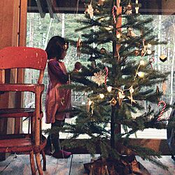 リビング/娘5歳。/クリスマスツリーのインテリア実例 - 2016-11-20 16:32:36