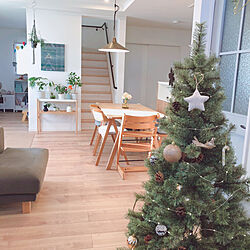 クリスマス/2020.12月/IKEA/北欧インテリア/植物のある暮らし...などのインテリア実例 - 2020-12-24 08:13:23