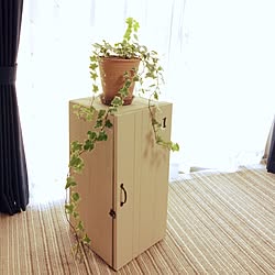 棚/りんご箱/シンプル ナチュラル/観葉植物/DIY...などのインテリア実例 - 2017-05-19 14:13:43