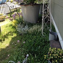 ガーデニング/裏庭から/庭のインテリア実例 - 2014-05-24 14:27:16