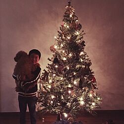 玄関/入り口/＃クリスマスツリー/Come home!/照明のインテリア実例 - 2016-12-18 21:24:35