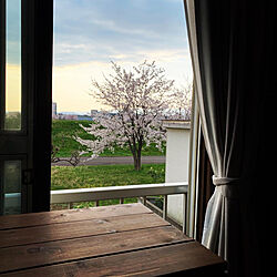 桜の見える家/窓からの景色/カウンターテーブル DIY/DIY女子/DIY...などのインテリア実例 - 2020-04-06 09:05:45