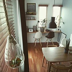 部屋全体/植物/IKEA/オークの椅子/飛騨の家具...などのインテリア実例 - 2016-05-26 12:59:27
