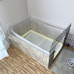 トイレ/犬/DIYのインテリア実例 - 2020-09-03 12:36:15