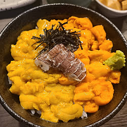 棚/ウニ丼/小樽産/恒例のウニ丼のインテリア実例 - 2021-06-26 17:23:26