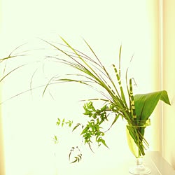 キッチン/花/植物/花瓶/花器...などのインテリア実例 - 2015-08-23 20:13:25