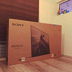 リビング/4K/SONY TV/SONY BRAVIA 65インチ/アヒルの置物...などのインテリア実例 - 2017-12-12 18:41:16