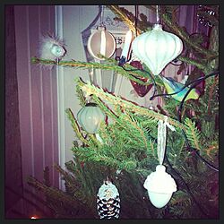 リビング/christmas tree/ornamentのインテリア実例 - 2012-12-30 20:36:17