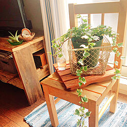 日光浴中/IKEAの椅子/アイビー/セリア/観葉植物...などのインテリア実例 - 2020-04-03 00:11:34