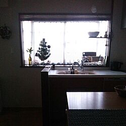 キッチン/小さいツリー/空き瓶を花器に/出窓/食器棚...などのインテリア実例 - 2014-11-19 10:51:01