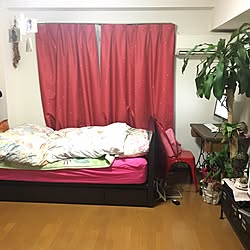 部屋全体/一人暮らし/多肉植物/賃貸/姿見...などのインテリア実例 - 2017-02-25 02:12:03