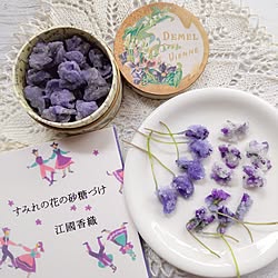 部屋全体/季節を楽しむ暮らし/自家製すみれの花の砂糖漬け/すみれの花の砂糖づけ/DEMELのインテリア実例 - 2024-02-23 14:42:36