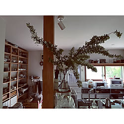 キッチン/IKEAの棚/IKEA/朝の風景/田舎暮らし...などのインテリア実例 - 2024-05-03 09:07:04