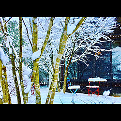 雪の日/冬の庭/お正月/雪/雪国...などのインテリア実例 - 2021-01-02 12:19:22