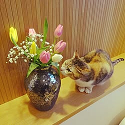 玄関/入り口/GREENのある暮らし/チューリップ/シンプルが好き/花と暮らす。...などのインテリア実例 - 2016-02-03 17:57:06