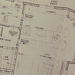 部屋全体/引戸/間取り図/打ち合わせ段階/リビング階段...などのインテリア実例 - 2016-11-12 09:53:02