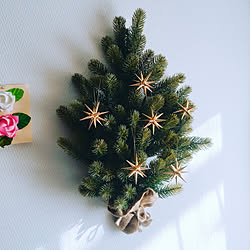 壁/天井/壁掛けクリスマスツリー/壁掛けツリー/クリスマスツリーのインテリア実例 - 2017-11-21 23:27:18