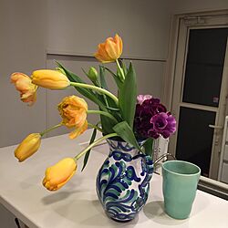 キッチン/パンジー/スペインの花瓶/チューリップのインテリア実例 - 2016-02-17 20:34:30
