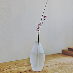 クラフトフェアまつもと/手仕事のある暮らし/花器好き/花器/ガラスの花器...などのインテリア実例 - 2023-06-11 08:57:22