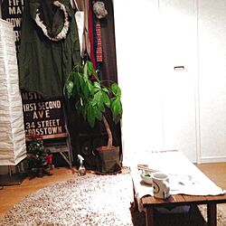 部屋全体/植物/雑貨/IKEAのインテリア実例 - 2013-02-27 12:11:39