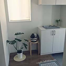 玄関/入り口/IKEA/100均/フランフラン/観葉植物のインテリア実例 - 2017-05-28 19:23:11