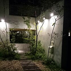 玄関/入り口/植物/中庭のインテリア実例 - 2014-11-11 19:32:44