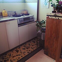 キッチン/DIY棚/清潔さonlyのインテリア実例 - 2017-06-20 14:12:15