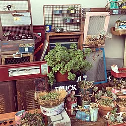 壁/天井/ベランダ/DIY/多肉植物/JUNK...などのインテリア実例 - 2015-02-14 23:17:28