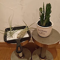 ベッド周り/いつもいいね、ありがとうございます┏○/こんばんは+*。/３coins  植物/スキレット...などのインテリア実例 - 2017-10-15 22:58:18