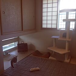 部屋全体/nekozuki/猫のいる部屋/ネコと暮らす/IKEAのインテリア実例 - 2017-04-13 08:29:26