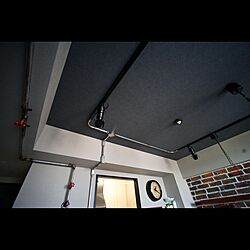 インダストリアル/ブルックリンスタイル/DIY/壁/天井のインテリア実例 - 2021-04-16 23:39:30