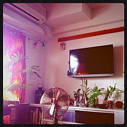 壁/天井/扇風機/壁掛けテレビ/植物/TV...などのインテリア実例 - 2013-07-01 09:40:55