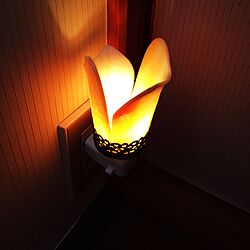 壁/天井/ランプ/照明のインテリア実例 - 2015-04-11 09:26:36