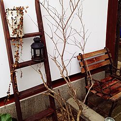 玄関/入り口/まだまだ冬です。/鉛筆削りオブジェの会/IKEA/植物のインテリア実例 - 2015-01-28 10:28:07