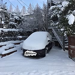 雪雪雪/九州/お久しぶりです/母屋も見えなくなってる…(^_^;)のインテリア実例 - 2016-01-27 19:06:44