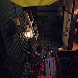 夜/ベランダガーデン*/観葉植物/DIY/IKEA...などのインテリア実例 - 2014-08-04 20:07:54