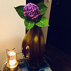お花は癒し/和モダン/濃い赤紫色に/最後の紫陽花/クラシックカラー...などのインテリア実例 - 2022-07-19 23:55:34