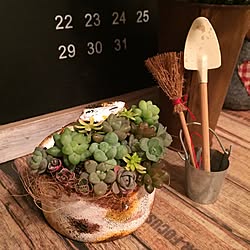 玄関/入り口/ハンドメイド/ナチュラル/多肉植物/100均...などのインテリア実例 - 2016-12-08 07:42:30